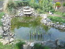 Picture 1391