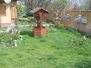 Picture 1394