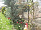 Picture 1402