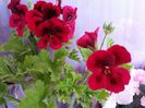 20150414_160051
