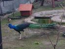 20150414_163610