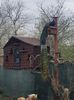 20150414_163553