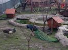 20150414_163545