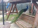 20150414_152209