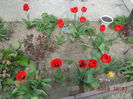 DSCN4167