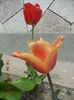 DSCN4174