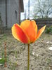 DSCN4181