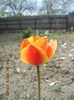 DSCN4182