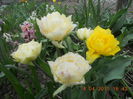 DSCN4199