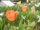 DSCN4205