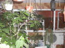 SAM_3159