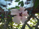 SAM_3173