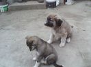 IMG00080