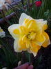 IMG_20150414_192150