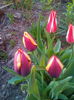 IMG_20150414_192254