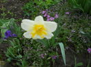 DSCN9223