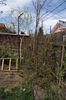 DSC00051