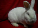 DSCN0997