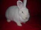 DSCN0999