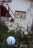 DSC05808