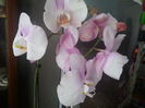 20150415_025517