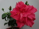 DSC09350