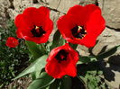 DSC09930