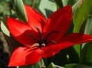 DSC09939