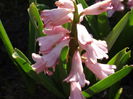 DSC09948