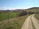 DSC00531