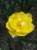 20150416_121208