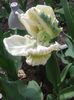 20150416_121230