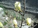 DSC09568