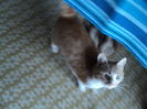 DSC09503
