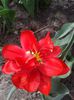 20150416_121215