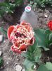 20150416_121223