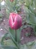 20150416_080819
