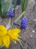 20150416_080759