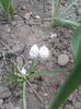 20150416_080748