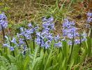 16 apr. 064