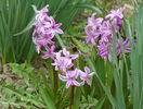 16 apr. 066
