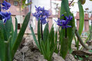 David_photography-115