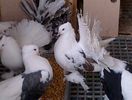 IMG-20150315-00143