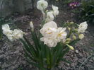 Cheerfulness