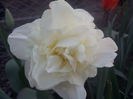 Obdam