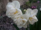 Cheerfulness