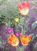 IMG_20150416_174518