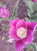 IMG_20150416_174550