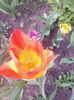 IMG_20150416_174556