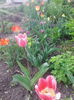 IMG_20150416_174620